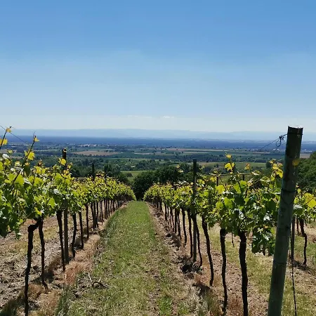 Apartmán Im Dornroeschendorf *