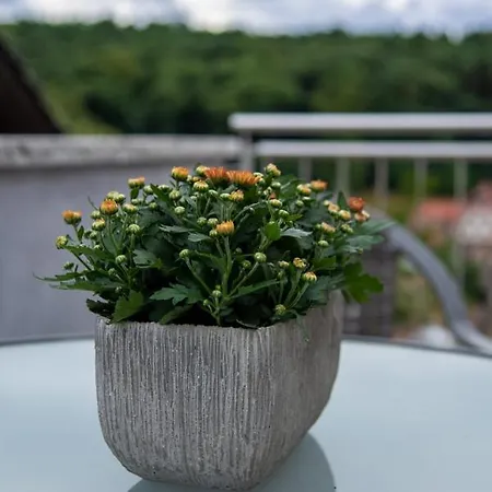 Im Dornroeschendorf *