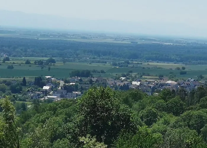 Im Dornroeschendorf 公寓 Dörrenbach