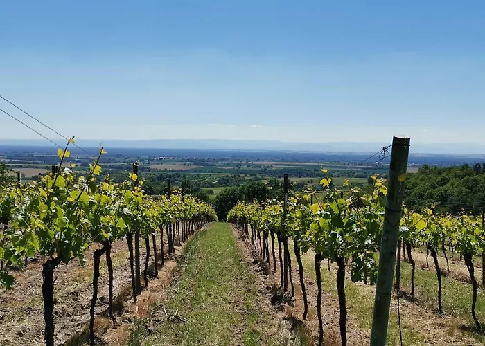 公寓 Im Dornroeschendorf *