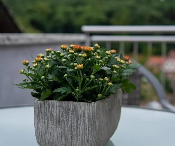 Im Dornroeschendorf *